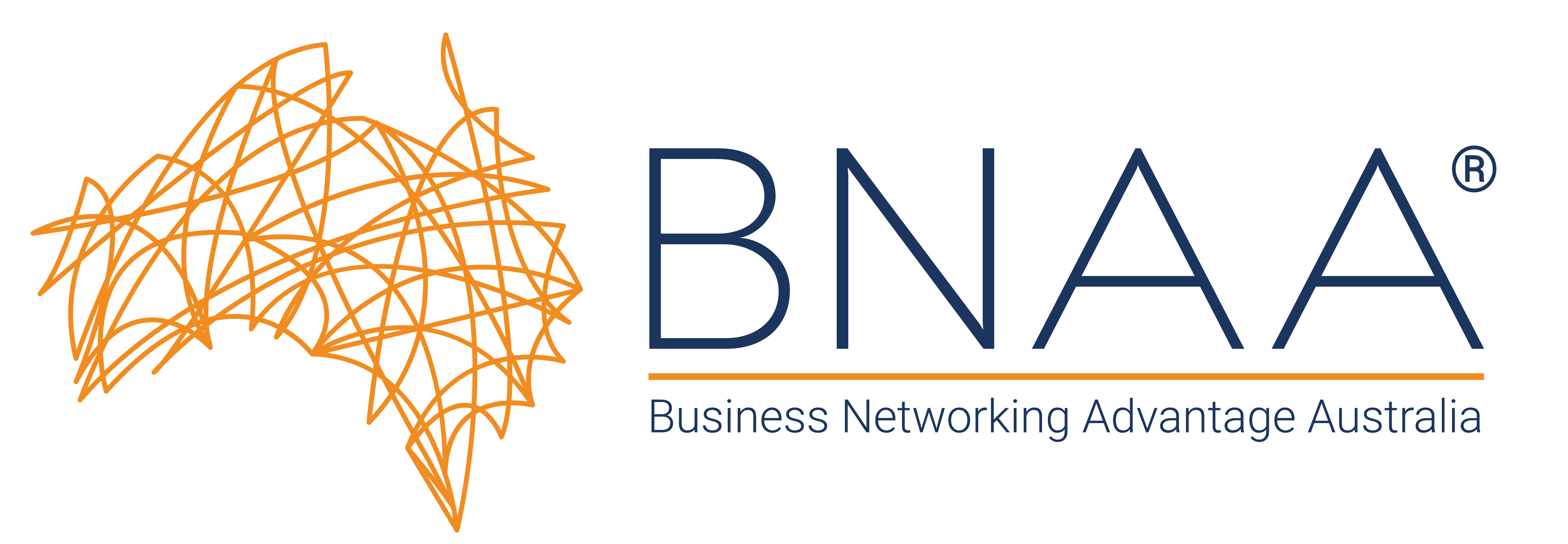 BNAA Logo small2